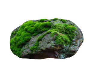 stone covered with green moss isolated on white background