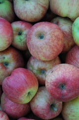 A bunch of ripe red apples in a box. Close-up. Healthy food.