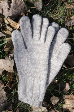 Woolen gloves on the grass in the park. Winter clothing.