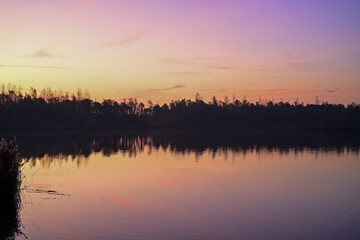 Pink and Purple Dawn: Vibrant Sky Reflected on Still Biesbosch Water Before Sunrise