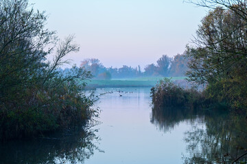 Blue Hour Dawn: Still Waters and Misty Horizon in the Serene Biesbosch Wetlands