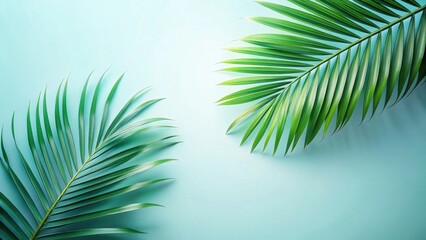 Obraz premium Serene Tropical Fronds on a Pastel Background, Ideal for Summer Designs and Relaxing Ambiance