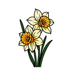 Daffodils flowers in a graceful side view, with layered petals, bold outlines, and vibrant color contrasts against a clean white background.