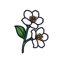 Jasmine flowers in a graceful side view, with layered petals, bold outlines, and vibrant color contrasts against a clean white background.