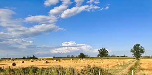 Italy, Medesano, July 12, 2025.
Scenic countryside view of golden field with hay bales and white clouds in a bright blue sky. Summer rural landscape in warm sunlight.
 Author: Djundiet A.