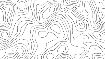 Topographic Contour Map Background. Abstract Vector Wave Grid With Mountain Relief. This Title Retains The Essential Keywords (Topographic, Vector, Contour, Map, Wave, Mountain) Abstract topographic.