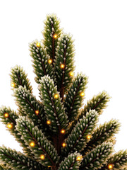 Realistic frosty spruce twig with warm lights, available as PNG with transparent background, suitable for Christmas design projects and overlays
