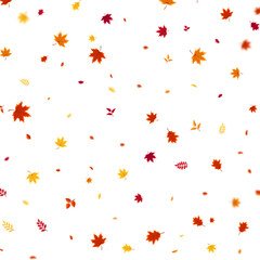 Autumn flying and falling leaves background with colorful seasonal foliage in red, orange, and yellow. Perfect for nature themes, seasonal sales, posters. Vector illustration.