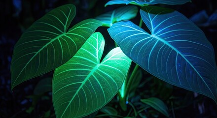Vibrant tropical leaves glowing in neon blue and green light.