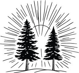 silhouettes of fir trees