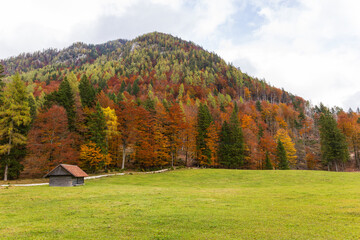 panoramic view of alpine mountain valley with wooden cabin at autumn with vibrant colorful dense forest with variety of tress
