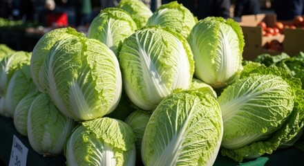 Fototapeta premium Fresh napa cabbages piled at outdoor market, some loose leaves visible