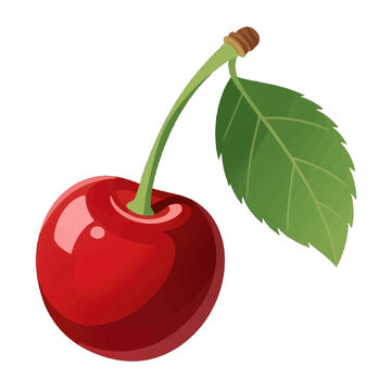 Single Ripe Cherry with Stem and Leaf Isolated