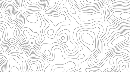 Topographic Contour Map Background. Abstract Vector Wave Grid With Mountain Relief. This Title Retains The Essential Keywords (Topographic, Vector, Contour, Map, Wave, Mountain) Abstract topographic.