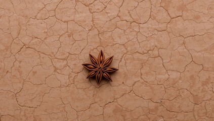 Earthy Texture with Star Anise. A Study in Brown Tones and Organic Forms.