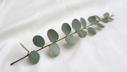 Emerald Cascade, A Leafy Dance on White, Gentle Light, Smooth Canvas Minimalist Touch.