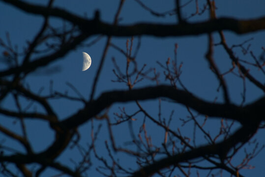 la luna e racconti di streghe
