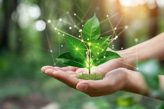 Person Gently Cupping a Vibrant Green Glowing Seedling with Digital Network Connections Representing Environmental Technology and Growth