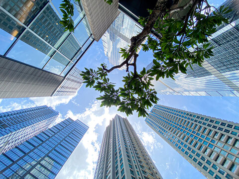 Jakarta, Indonesia - 09 November 2025: Worm's-eye view looking up at a skyscraper in District 8 SCBD, framed by vegetation, with reflections of the sky and clouds on the glass surface.