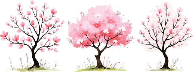 Three beautiful pink blooming trees in spring watercolor illustration