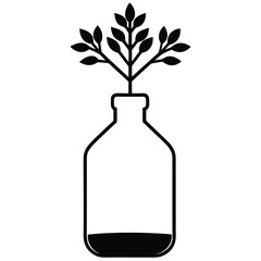 Plant growing inside a glass bottle/vial