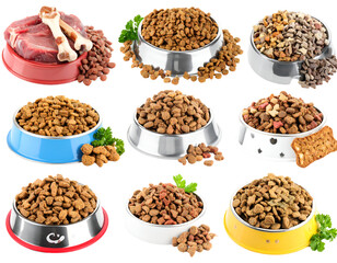 Assorted types of dry pet food and treats in various bowls with fresh herbs on a transparent background