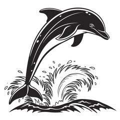 vector illustration of a black and white feather