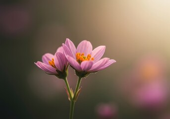 Fototapeta premium Abstract, soft-focus floral background showing gentle natural light, suitable for design templates or springtime visuals ,blurred ,purple ,pattern