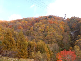秋の新穂高ロープウェイと色とりどりに染まる山々