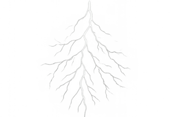 White lightning striking with branching electrical discharge, energy power storm flash effect, transparent background