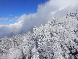 青空と雲海と新穂高ロープウェイ山頂駅付近の樹氷