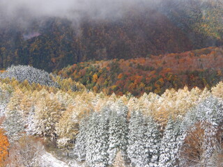 新穂高ロープウェイから見下ろす雪化粧をした山々、紅葉、黄葉、緑の針葉樹が織りなす絨毯