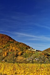 Burgruine Hinterhaus in der Wachau im Herbst, vertikal