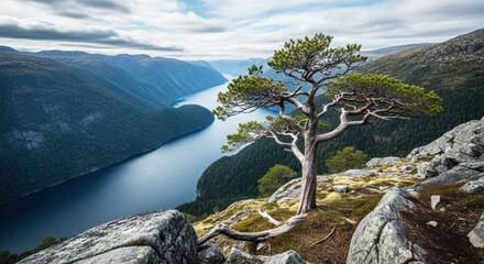 Majestic Scandinavian landscape with a deep blue fjord. Solitary pine tree on a rocky mountain summit. Nordic travel destination for adventure and exploration. Wilderness and nature concept
