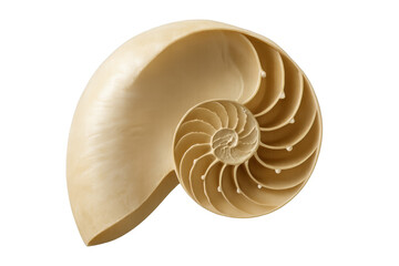 Obraz premium Nautilus shell showing internal spiral structure, chambers, golden ratio, and fibonacci sequence on transparent background