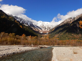 晩秋の上高地、雪冠した穂高連峰と澄んだ青空と金色のカラマツと緑の針葉樹