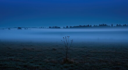 Ethereal mist drifts over a quiet field during the seasonal shift, bathed in the deep indigo light of late evening twilight ,dawn ,haze ,deep colors