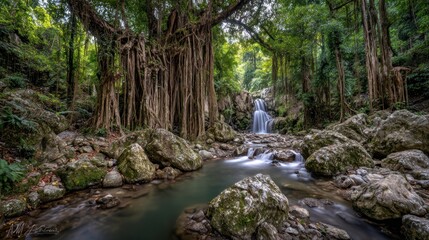 Lush rainforest stream with waterfall and banyan trees
