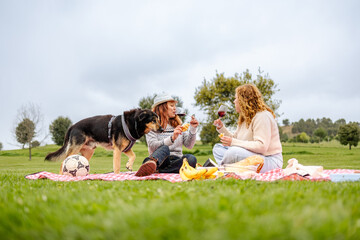 Two women relaxing on a picnic blanket, drinking wine with their dog