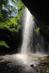 茨城県の滝　月待の滝