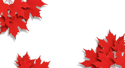 Red Maple Leaves on White Background maple leaf autumn
