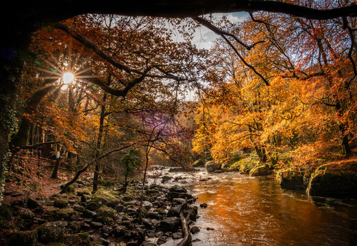 Autumn by the miners bridge north wales Uk