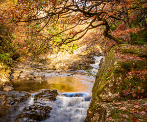 Autumn by the miners bridge north wales Uk