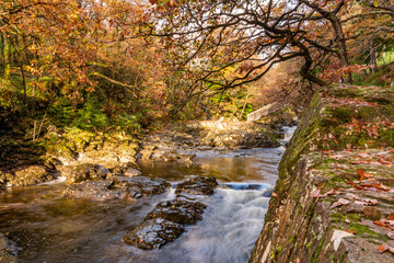 Autumn by the miners bridge north wales Uk