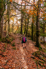 Fototapeta premium Autumn by the miners bridge north wales Uk