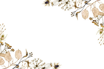 Watercolor dry grass and flowers illustration frame horizontal border isolated on white background. Floral elements for print, cards, design, invitation.