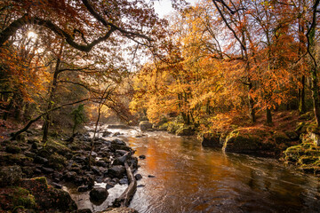 Autumn by the miners bridge north wales Uk