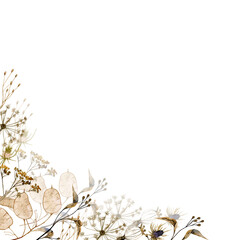 Watercolor square frame with  dry grass and flowers illustration isolated on white background. Floral elements for print, cards, design, invitation.