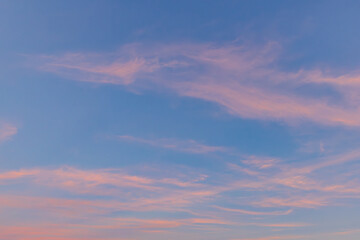 飛行機雲と夕空