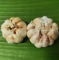 Fresh garlic on the table